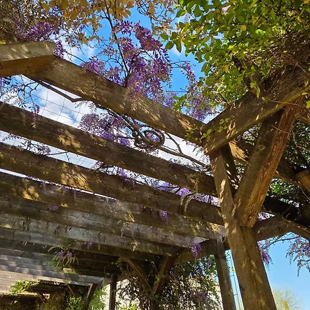 Le Logis Gasthuis Dompierre-sur-Charente